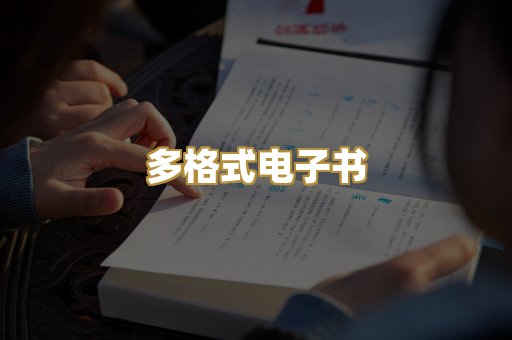 多格式电子书